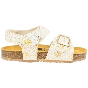 CICIBAN 355215 PETUNIA