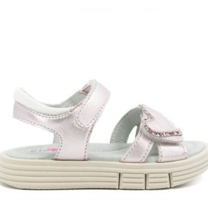 CICIBAN 346440 joelle selena