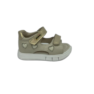 POLLINO 4268 gold